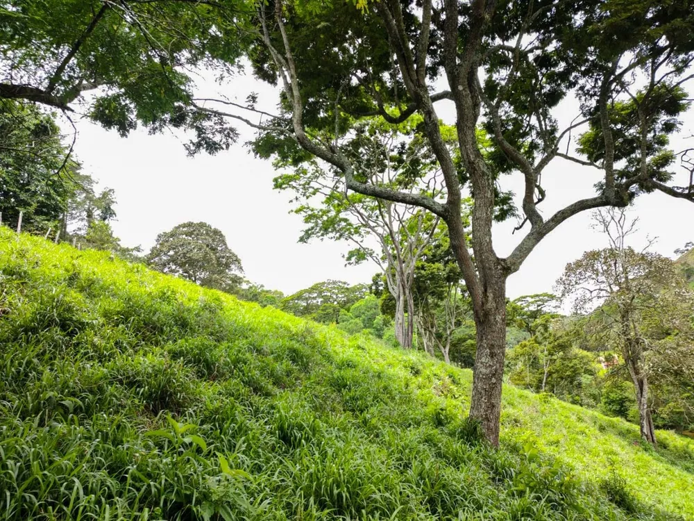 Sítio, 3 quartos, 7 hectares - Foto 15