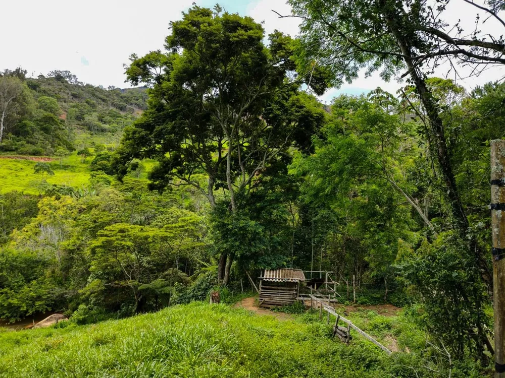 Sítio, 3 quartos, 7 hectares - Foto 20