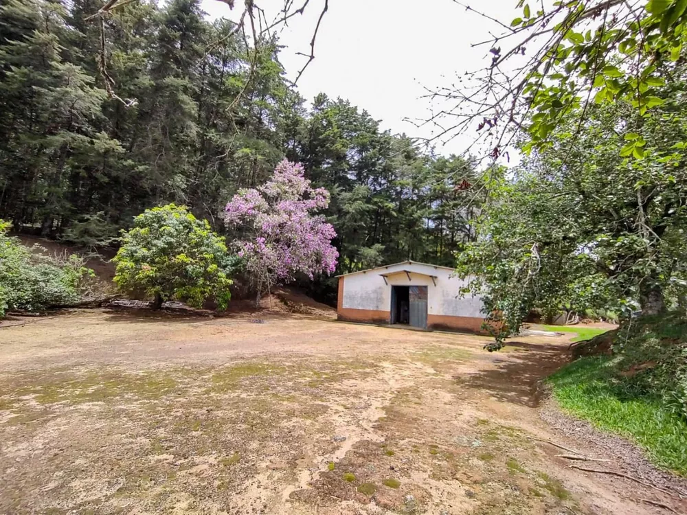 Sítio, 3 quartos, 7 hectares - Foto 22