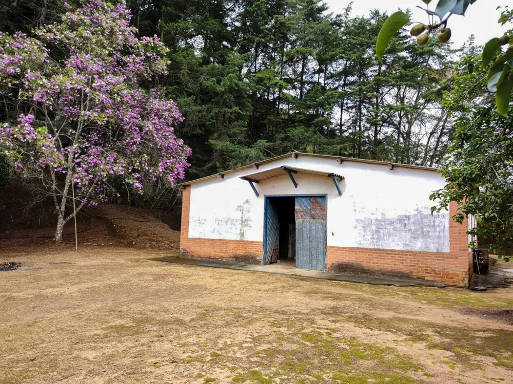 Sítio, 3 quartos, 7 hectares - Foto 24
