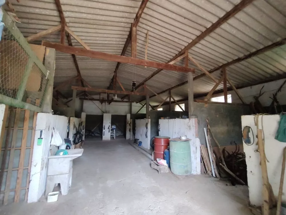 Sítio, 3 quartos, 7 hectares - Foto 27