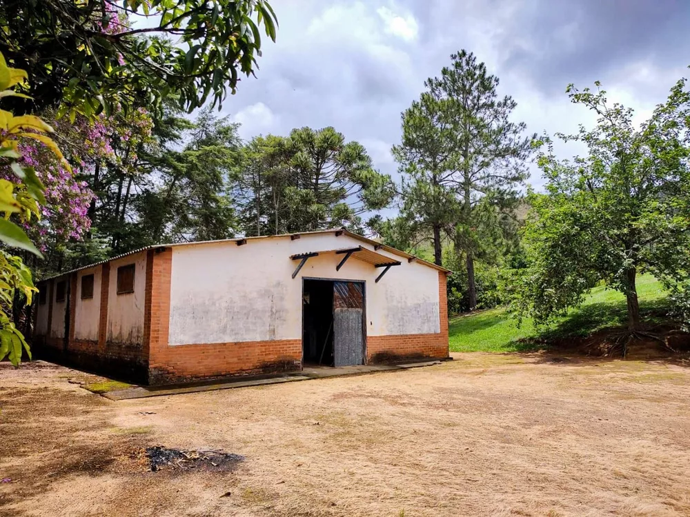 Sítio, 3 quartos, 7 hectares - Foto 21