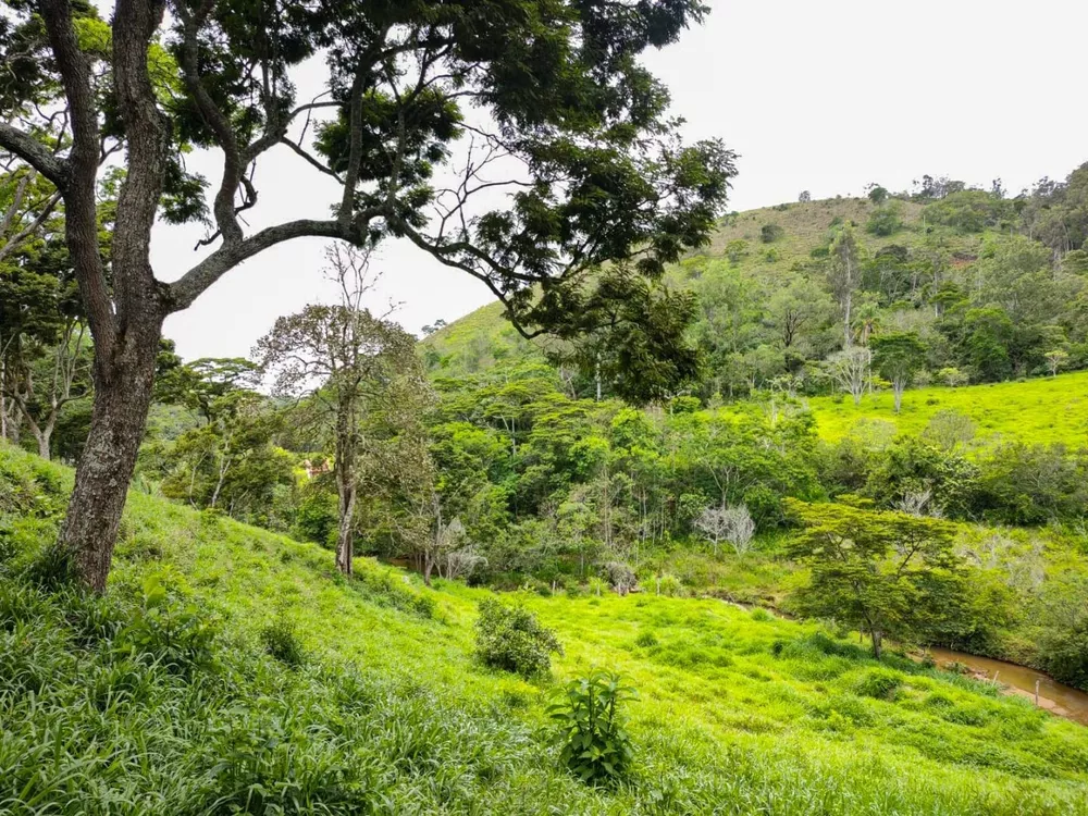 Sítio, 3 quartos, 7 hectares - Foto 18