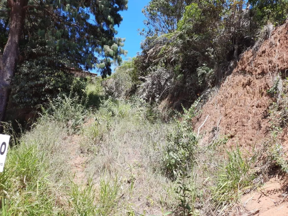 Terreno, 975 m² - Foto 6