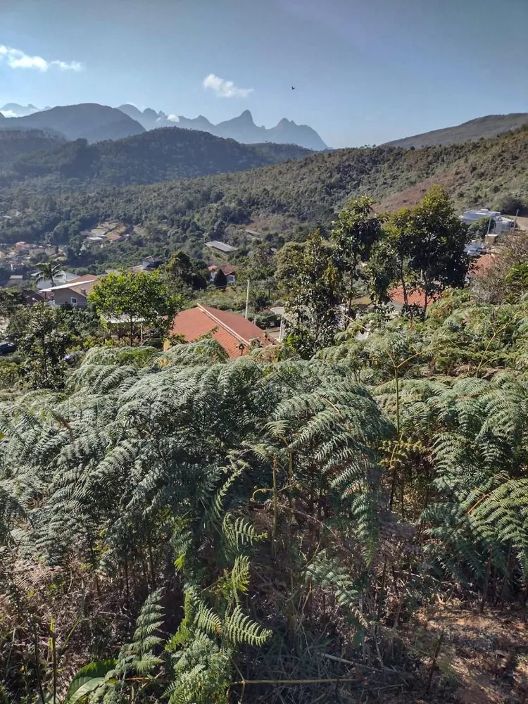 Terreno, 324 m² - Foto 4