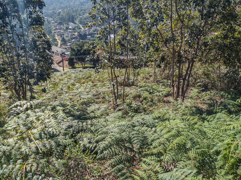 Terreno, 324 m² - Foto 6