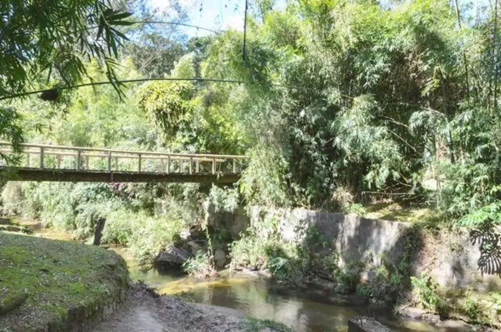 Casa, 3 quartos - Foto 36