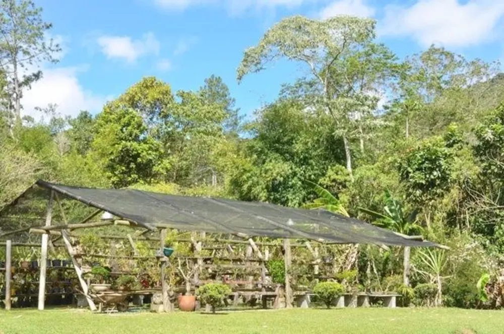 Casa, 3 quartos - Foto 35