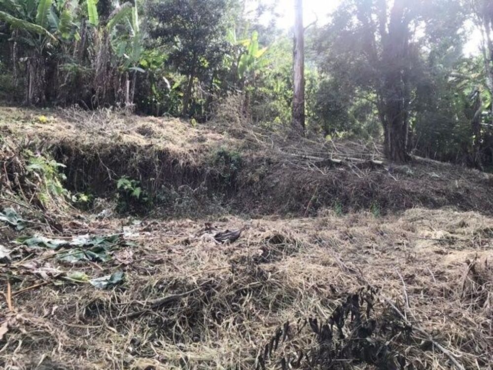 Terreno à venda, 875m² - Foto 1