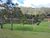 Terreno, 875 m² - Foto 8