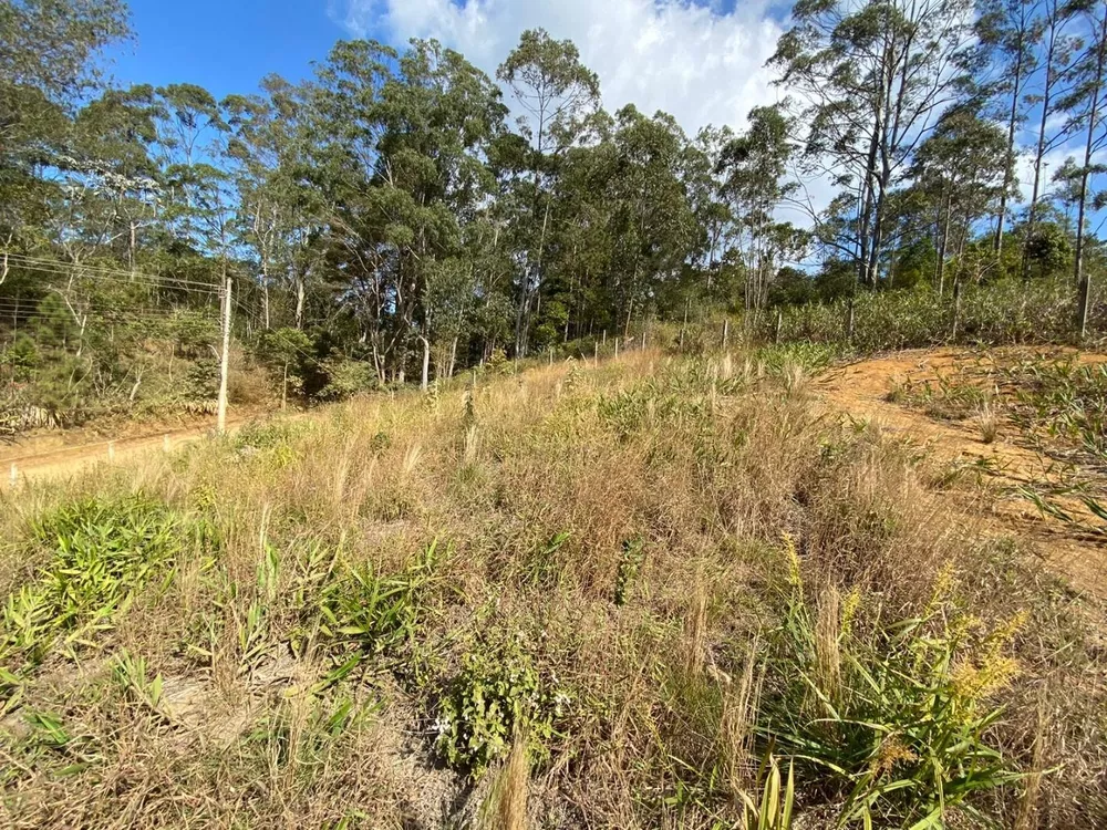 Terreno, 1400 m² - Foto 3