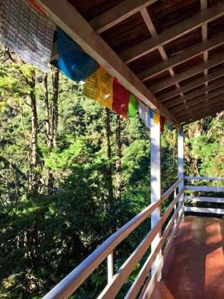 Casa, 5 quartos - Foto 11