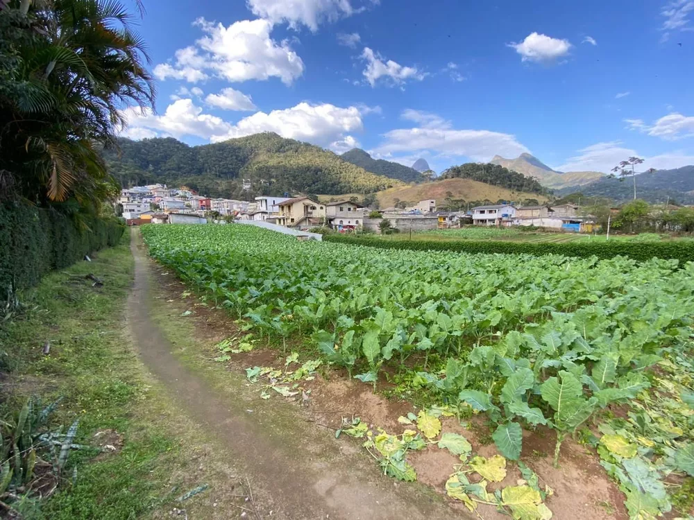 Terreno à venda, 3542m² - Foto 2