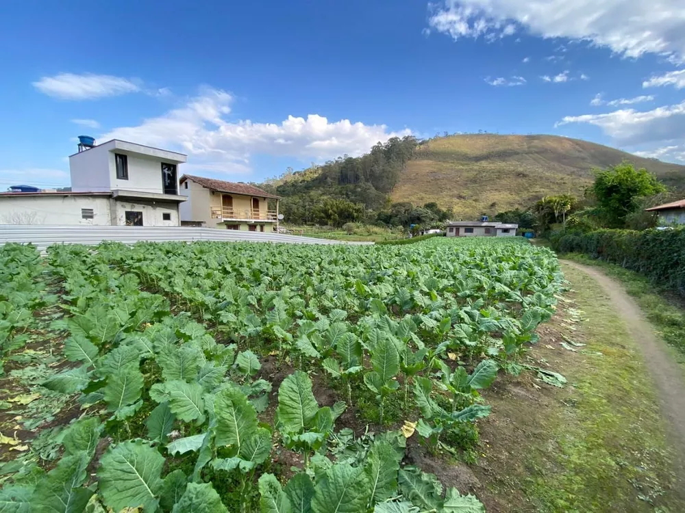 Terreno à venda, 3542m² - Foto 3