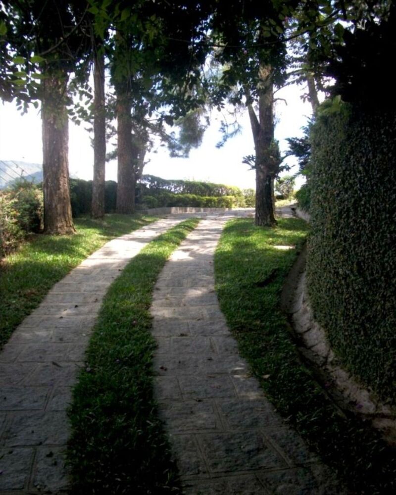 Casa, 4 quartos - Foto 7