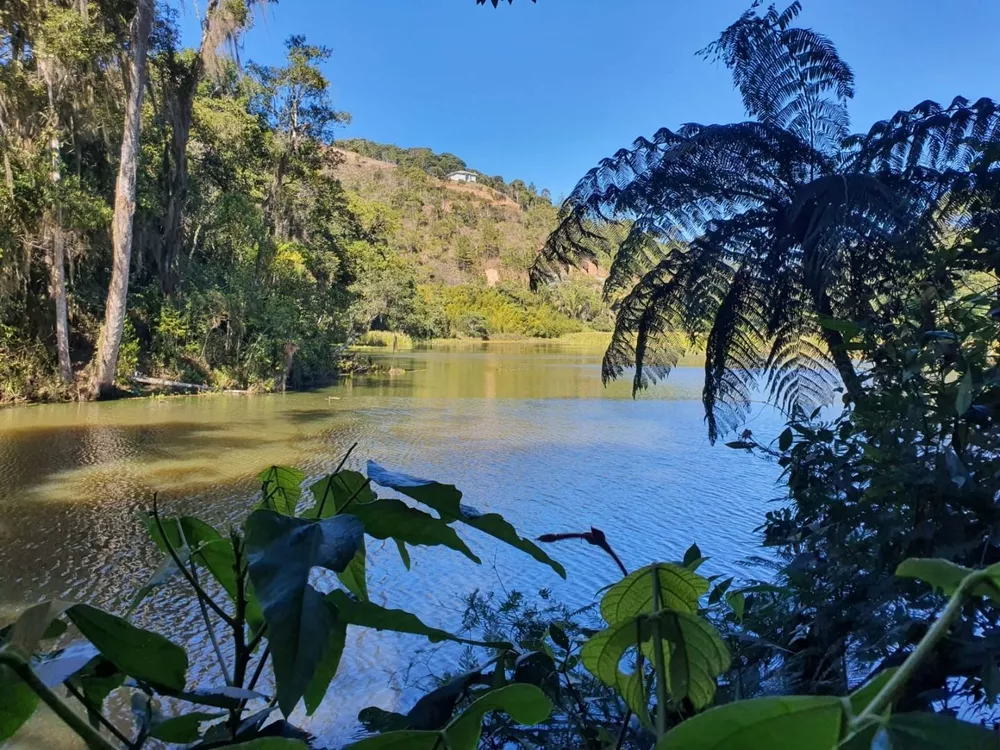 Terreno, 2125 m² - Foto 5