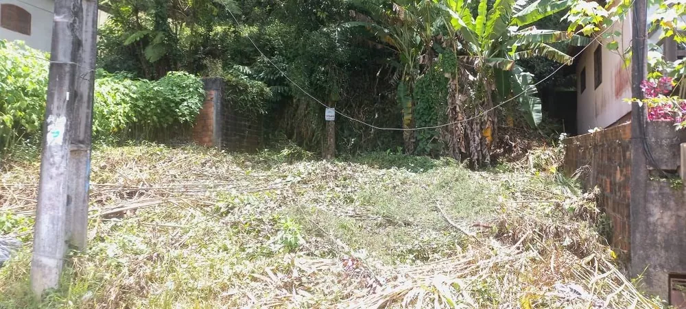 Terreno, 250 m² - Foto 4