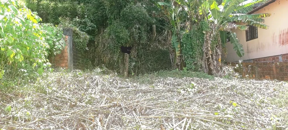 Terreno, 250 m² - Foto 2