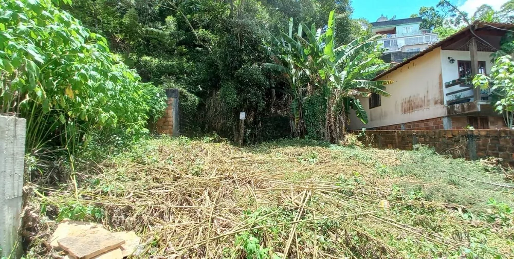 Terreno, 250 m² - Foto 3