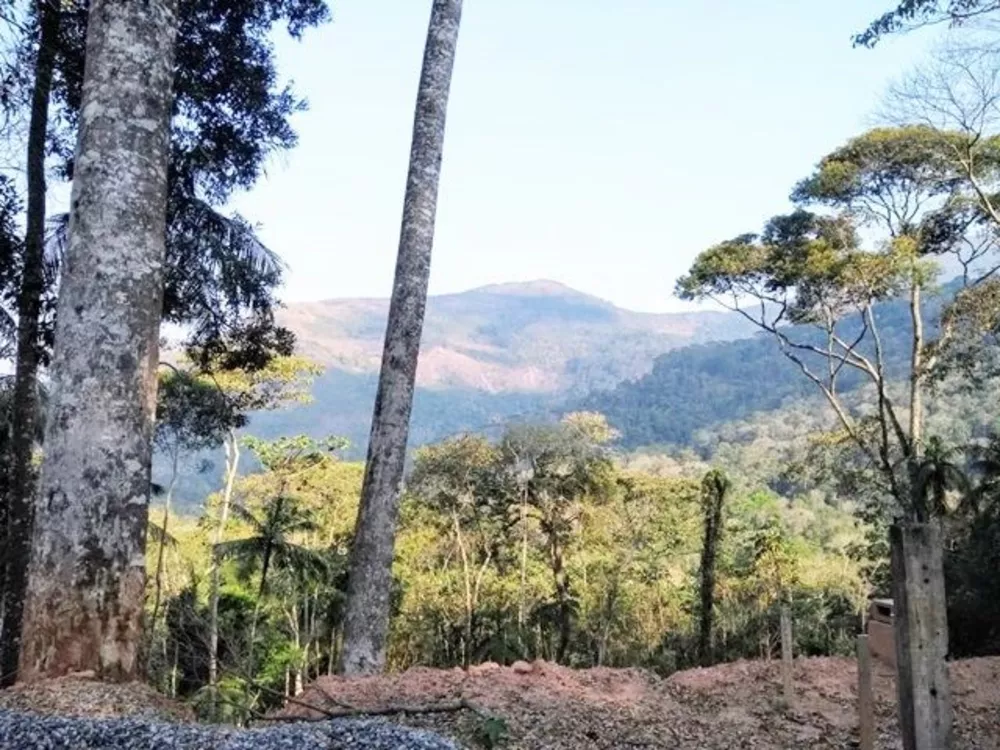 Terreno, 1 hectares - Foto 12