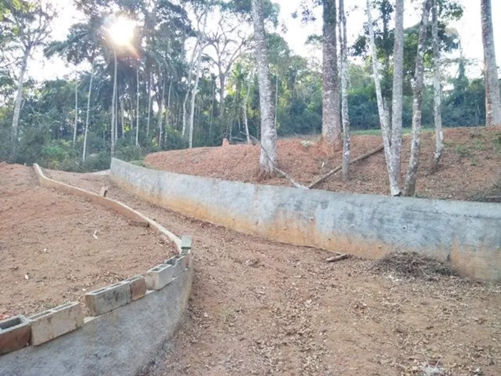 Terreno, 1 hectares - Foto 4