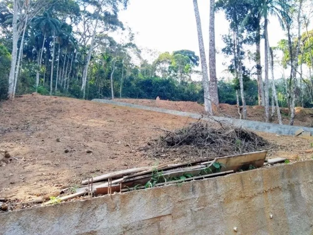 Terreno, 1 hectares - Foto 3