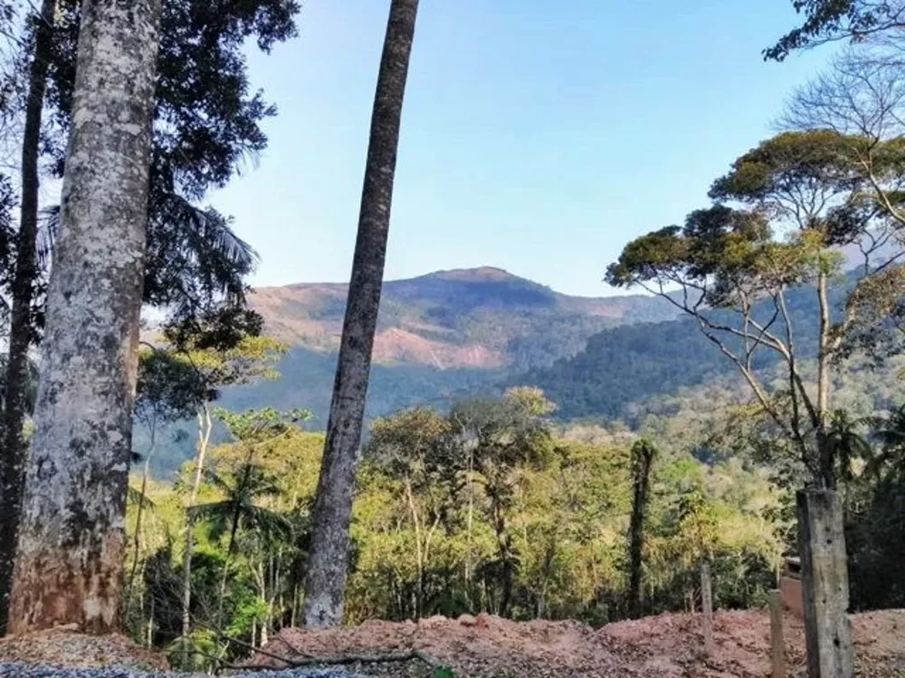 Terreno, 1 hectares - Foto 21