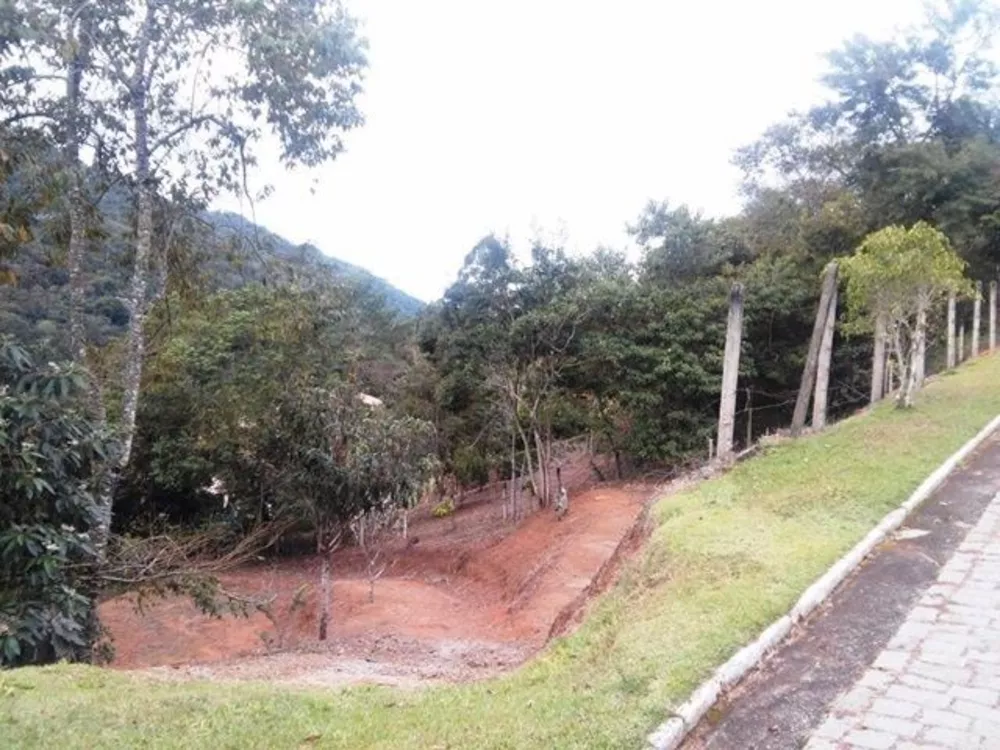 Terreno, 1056 m² - Foto 3