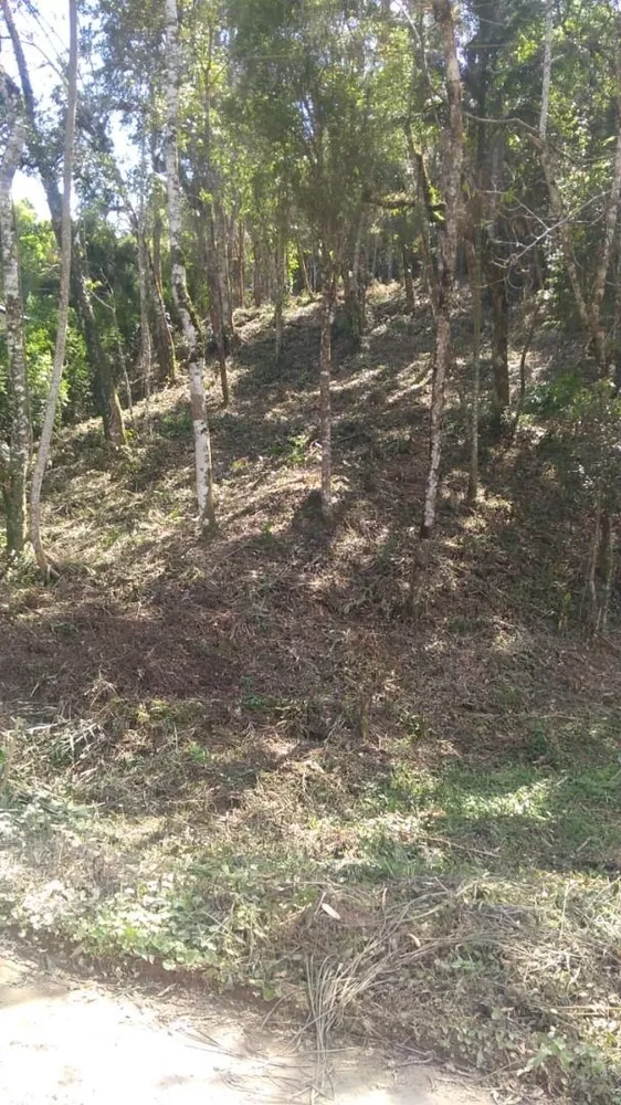 Terreno, 855 m² - Foto 1