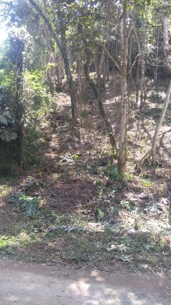 Terreno, 855 m² - Foto 2