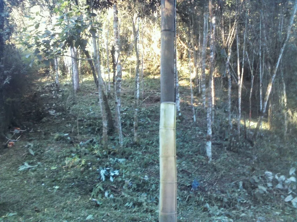 Terreno, 855 m² - Foto 3