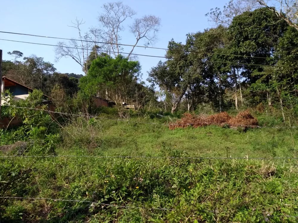 Terreno, 1000 m² - Foto 3