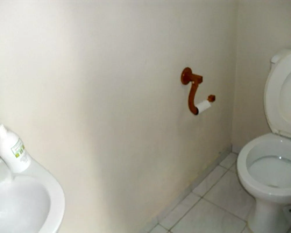Casa, 9 quartos - Foto 15
