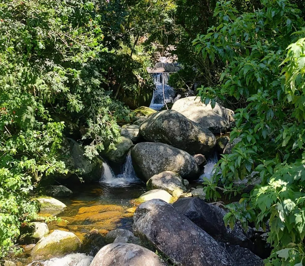 Casa, 5 quartos - Foto 52