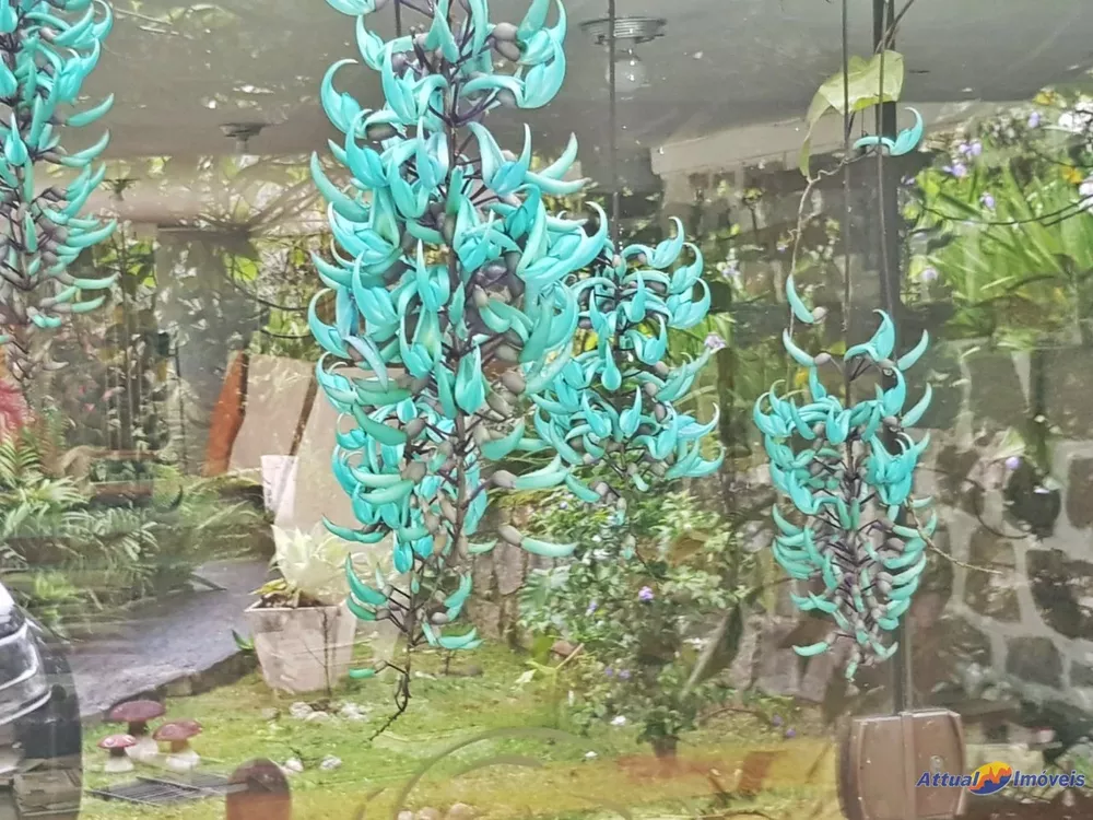 Casa, 4 quartos - Foto 27