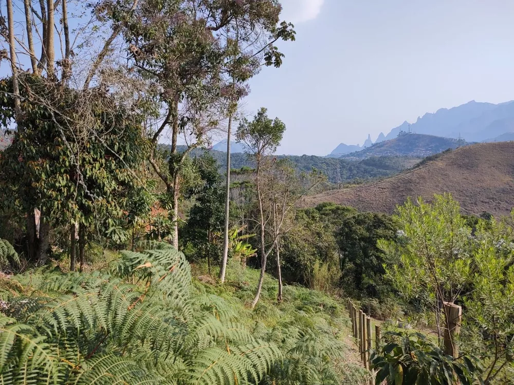 Terreno, 433 m² - Foto 9