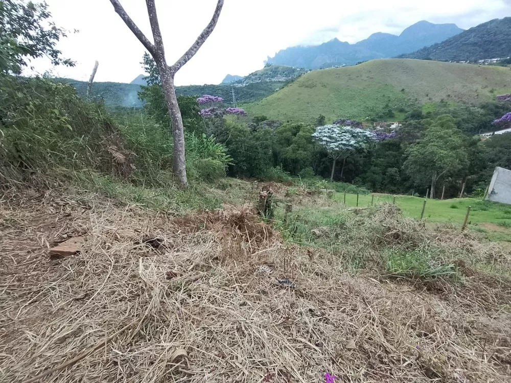 Terreno, 433 m² - Foto 7