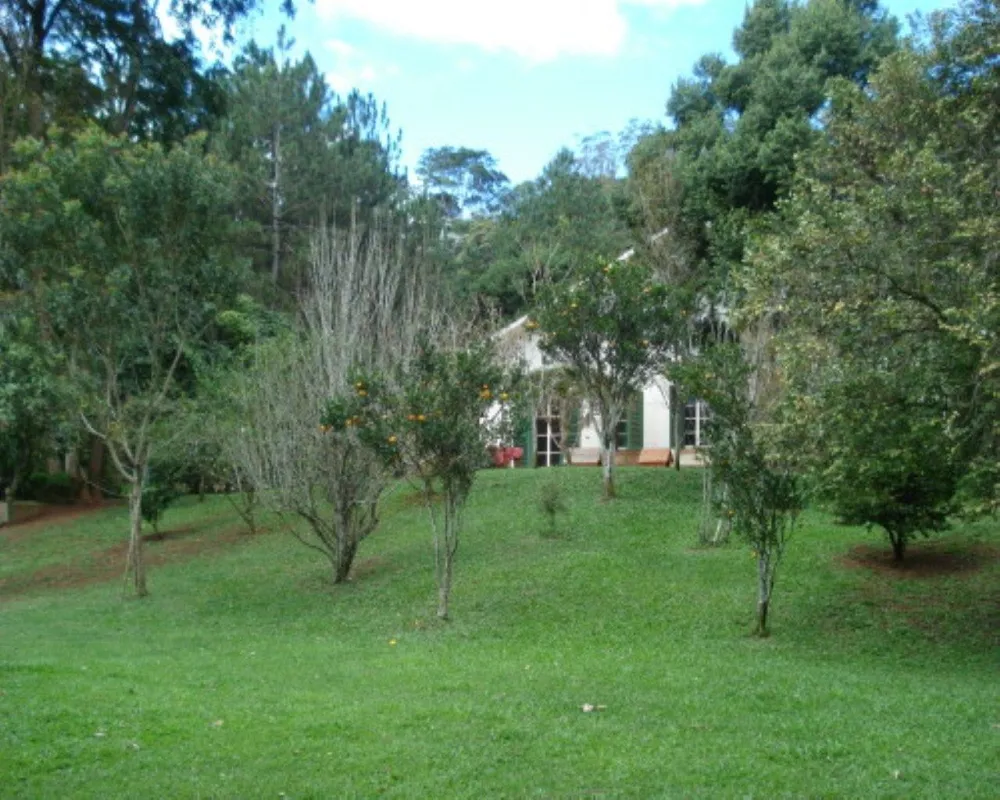 Casa, 4 quartos - Foto 12