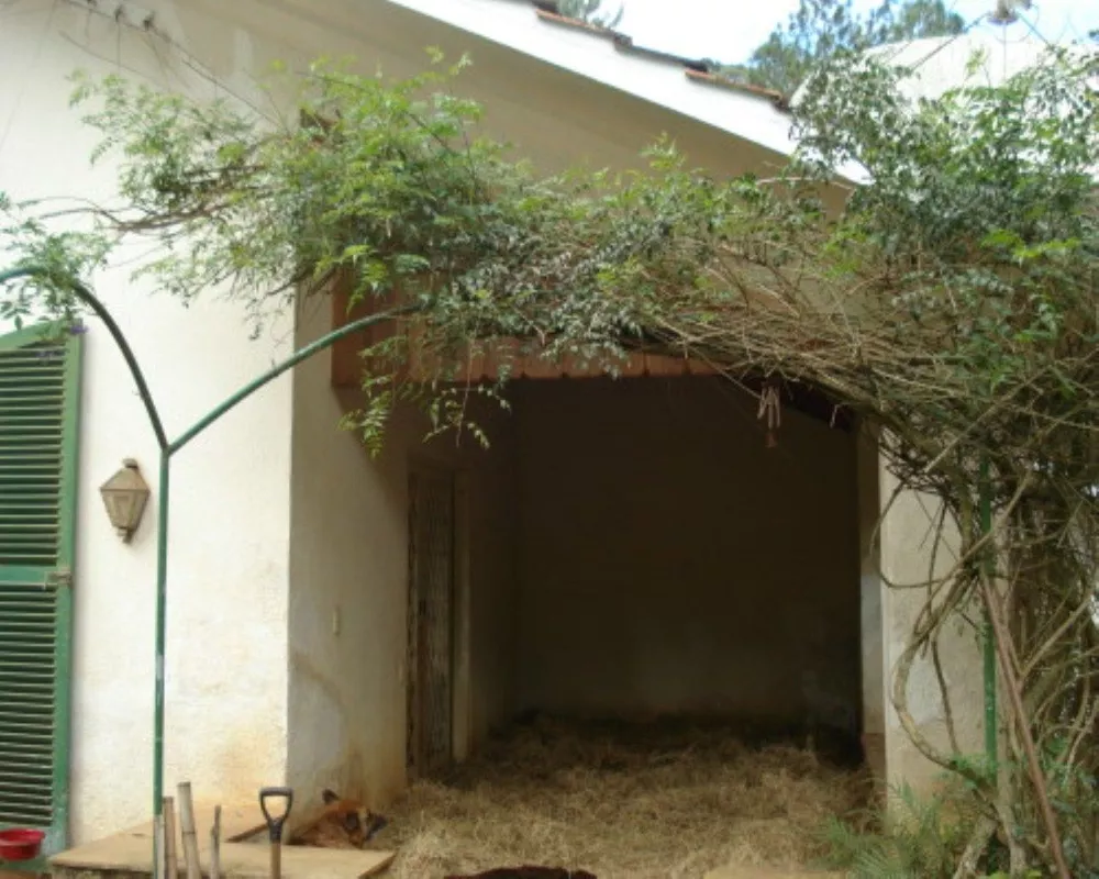 Casa, 4 quartos - Foto 5