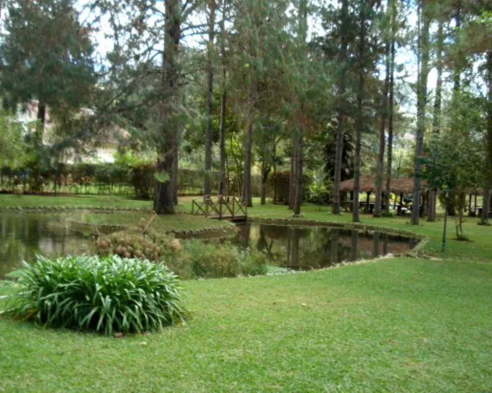 Casa, 4 quartos - Foto 28