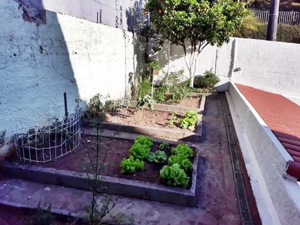Casa, 4 quartos - Foto 38
