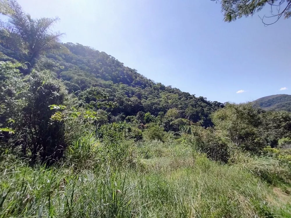 Sítio, 4 quartos, 19 hectares - Foto 5