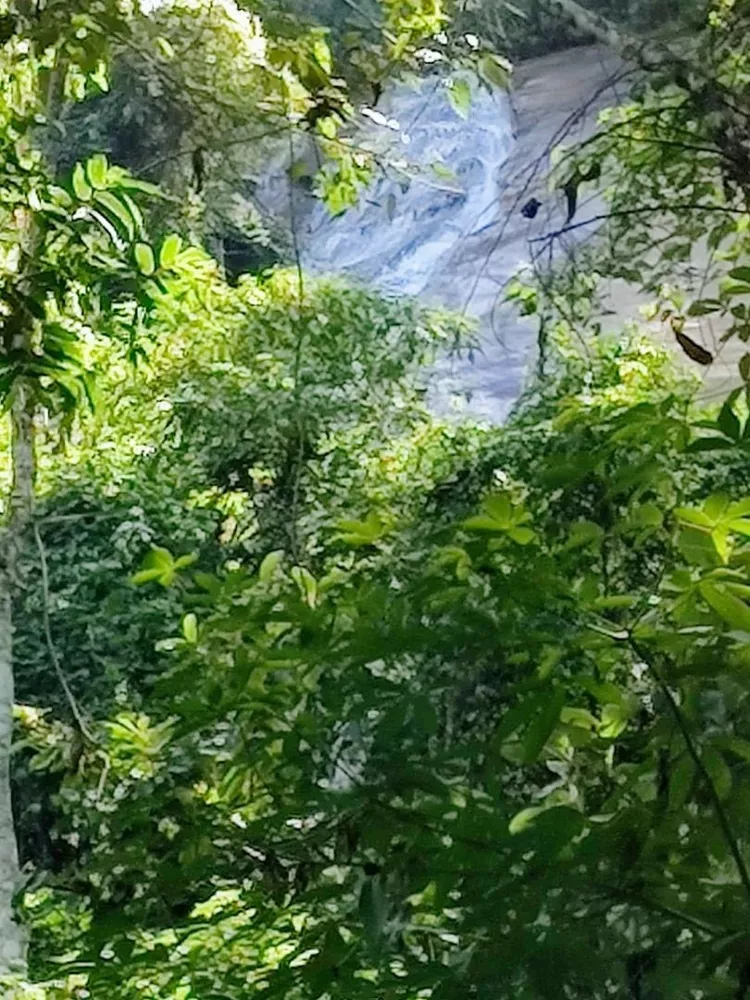 Sítio, 4 quartos, 19 hectares - Foto 4