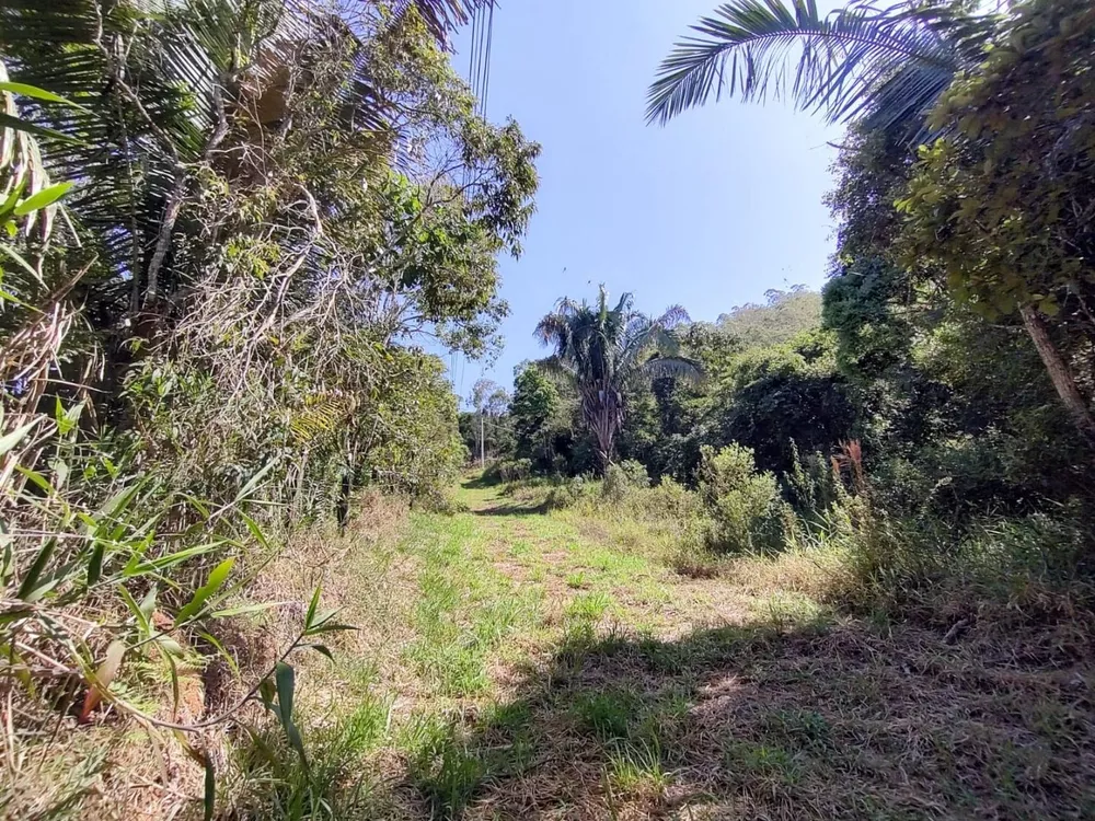 Sítio, 4 quartos, 19 hectares - Foto 7