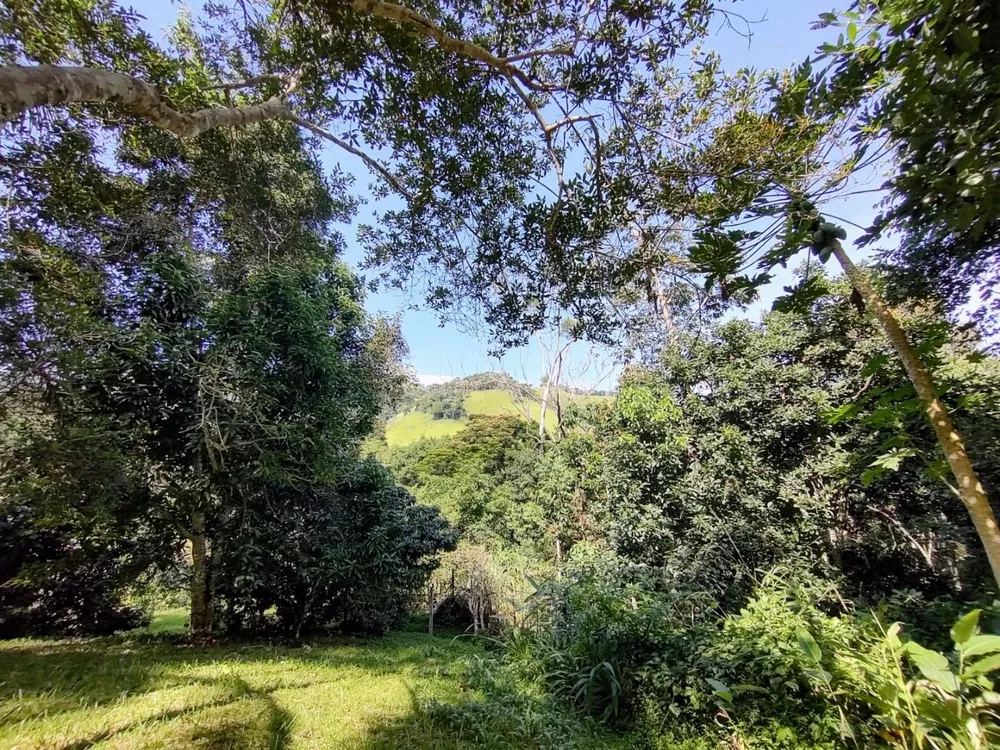 Sítio, 4 quartos, 19 hectares - Foto 9