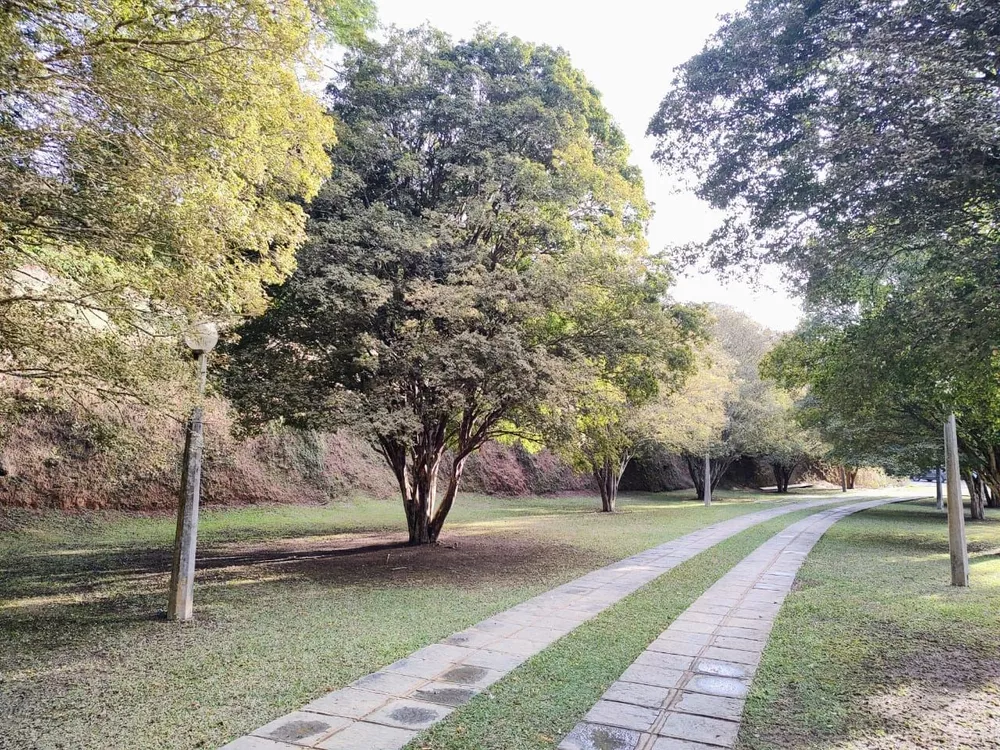 Casa, 4 quartos - Foto 50