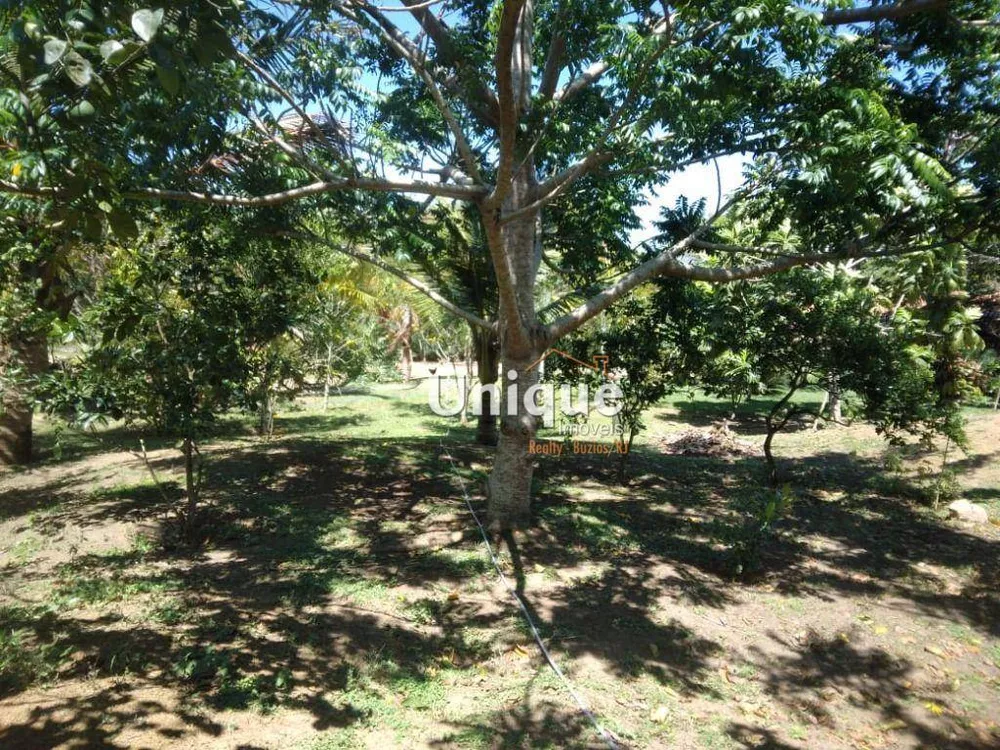 Sítio, 1 quarto, 2 hectares - Foto 16
