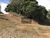 Terreno, 1500 m² - Foto 3