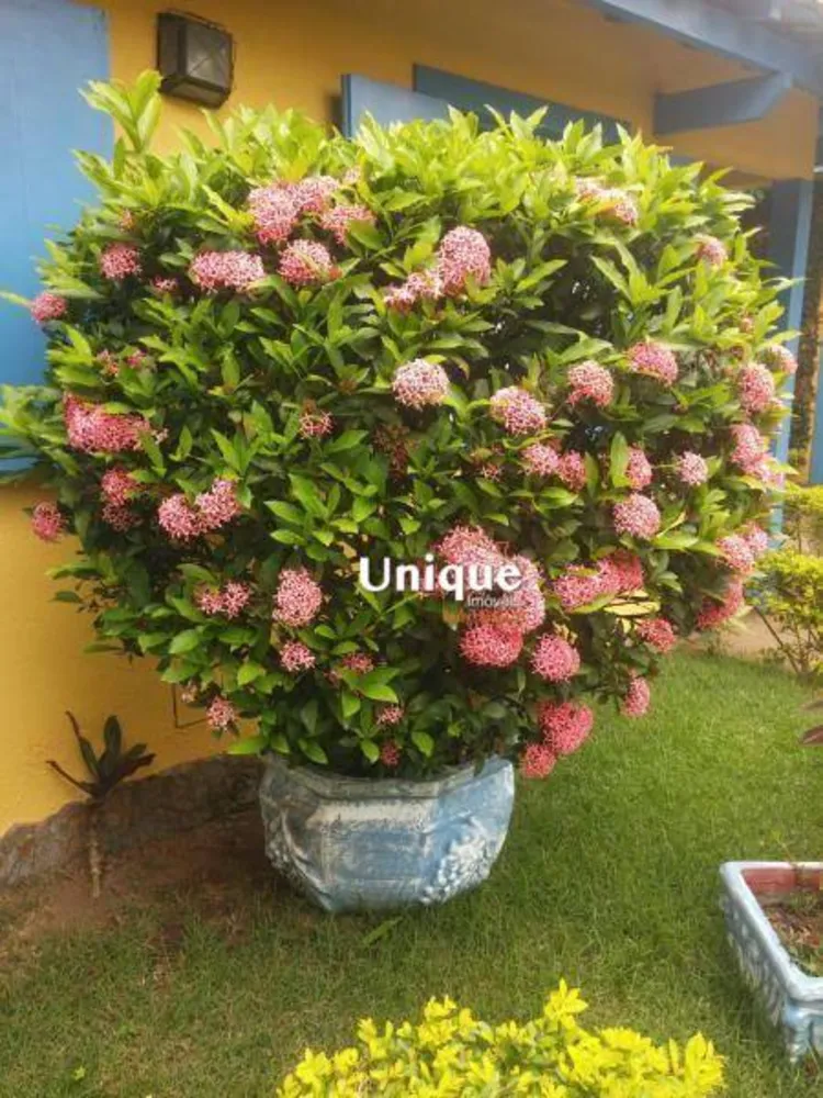 Pousada-Chalé, 16 quartos, 600 m² - Foto 34