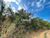 Terreno, 1000 m² - Foto 4